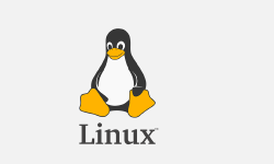 Featured image of post linux